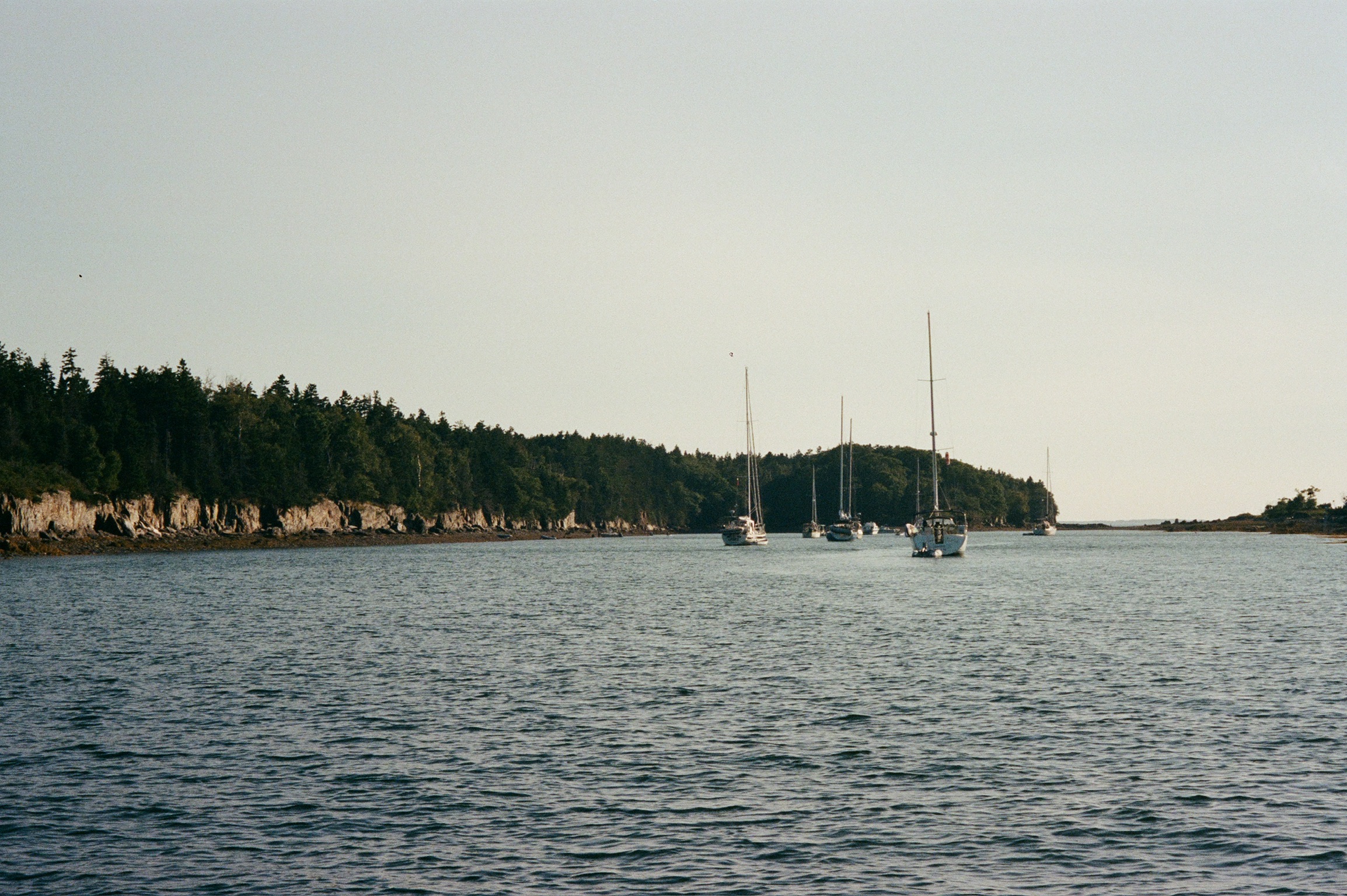Island cove with sailboats on Casco Bay